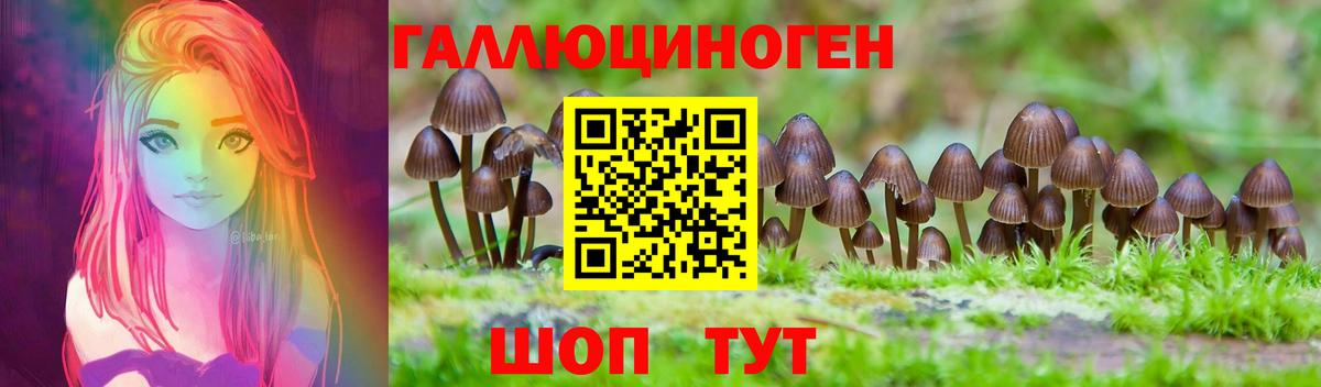 Тамбов  Галлюциногенные грибы Cubensis  купить  сайты  Псилоцибиновые грибы ЛСД  Вход с VPN 